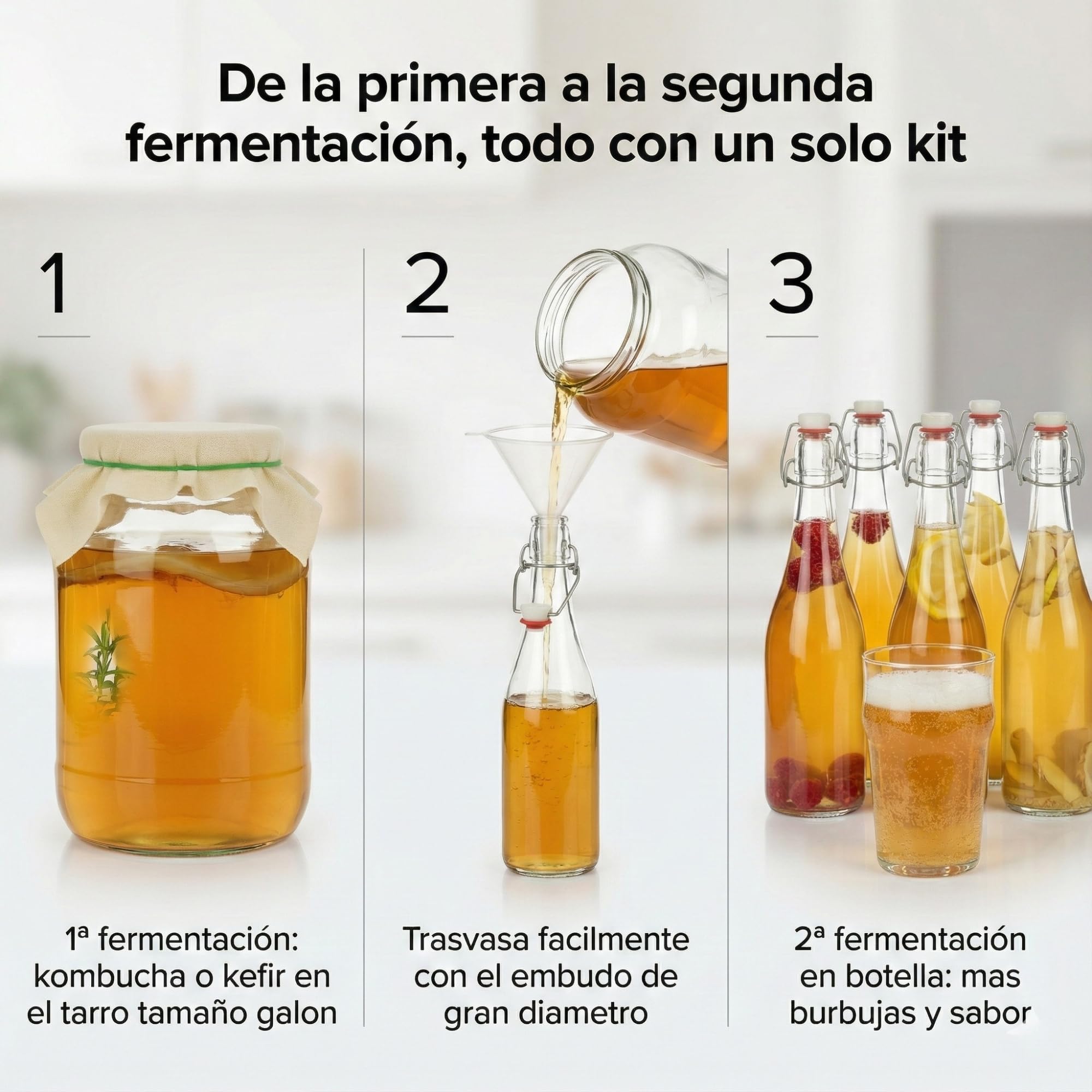 myFERMENTS - Kit Kombucha y Kefir | Bote Grande de 4 L | 6 Botellas de Vidrio con Cierre Hermético de 750 ml | Embudo y Muselina | para Todo Tipo de Bebidas Fermentadas