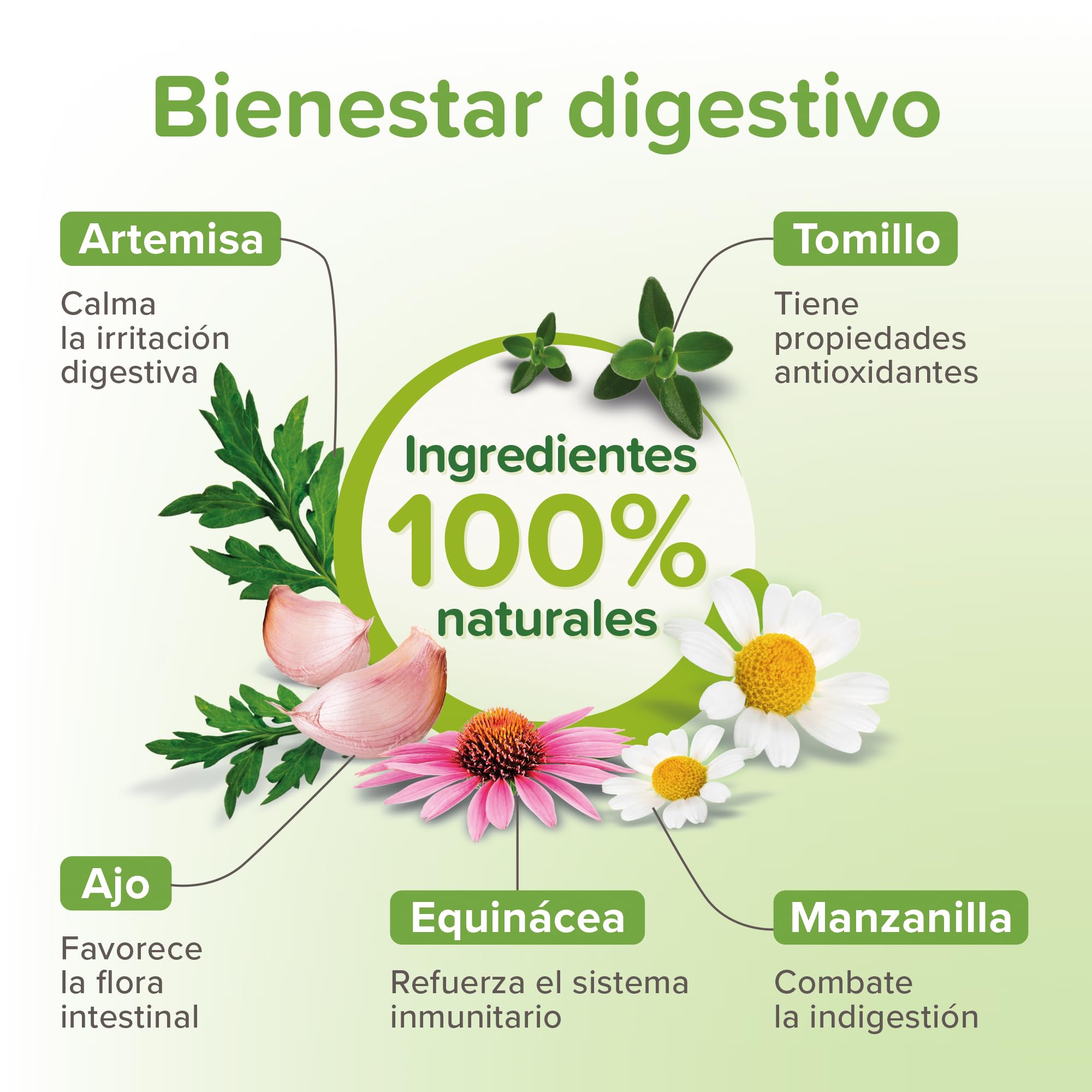 Beaphar VERMIpure Comprimidos Naturales - Perros >15kg Medianos y Grandes - 50 Comprimidos