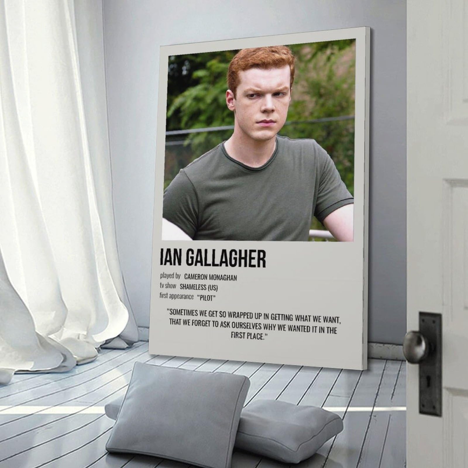 Poster Su Tela Shameless TV Serie - 50x75 Cm - Stampa Artistica Per Soggiorno E Camera Da Letto - Senza Cornice