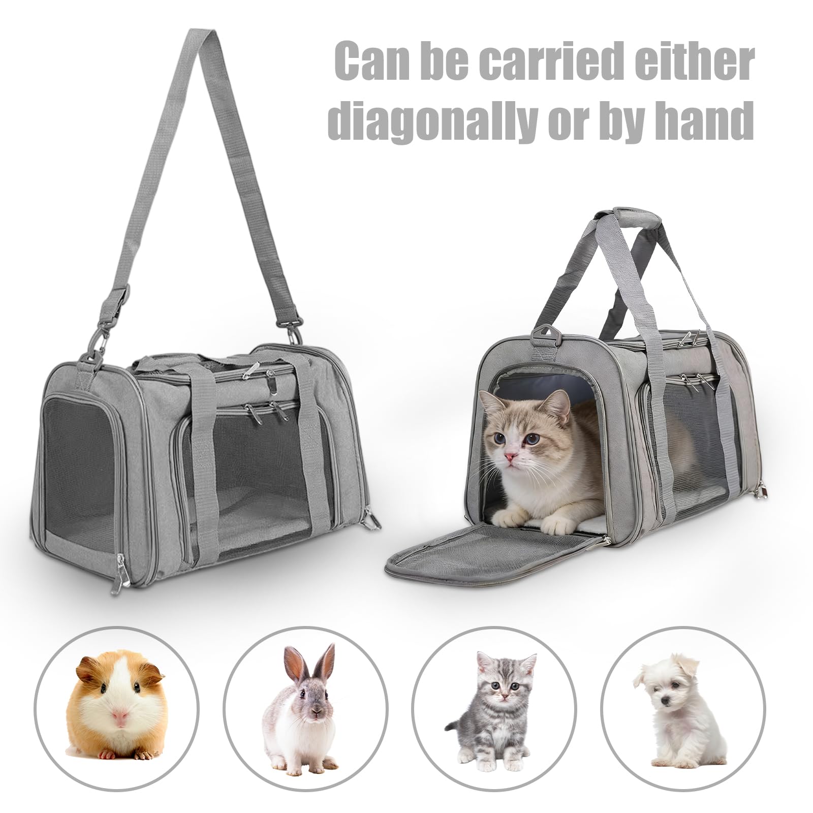 Borsa per il trasporto del gatto: pieghevole e traspirante, borsa per il trasporto di cani, comoda per gatti fino a 5 kg, viaggi e gite 45 × 30 × 30 cm