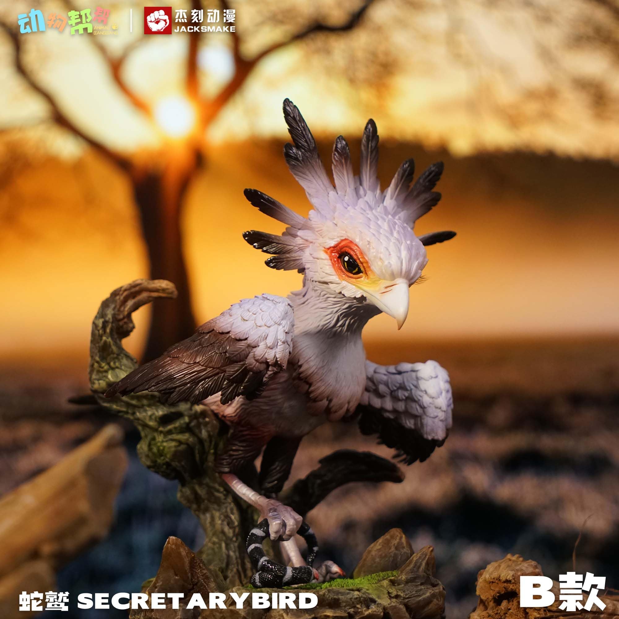Amazon.com: WLNTDOLA Animal Protection ACT Studio Secretary Bird
