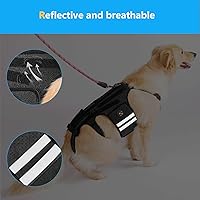 Vista 5 de Coodeo Soporte de espalda para perros para artritis, soporte de espalda para mascotas para IVDD, protector de espalda ayuda a aliviar el dolor