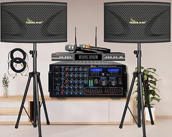 6000W IP-5900II Professional Mixing Amplifier Plus IPS-40 4000W Speakers and Wireless Microphones Home Karaoke Combo