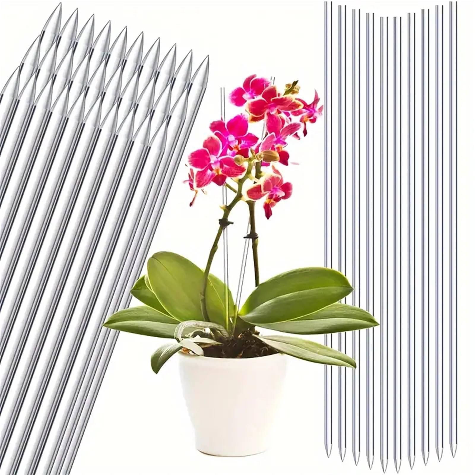 Tuteur Plante 8/15 Tuteurs Transparents de 15,6 Pouces for orchidées Jardin(15pcs)
