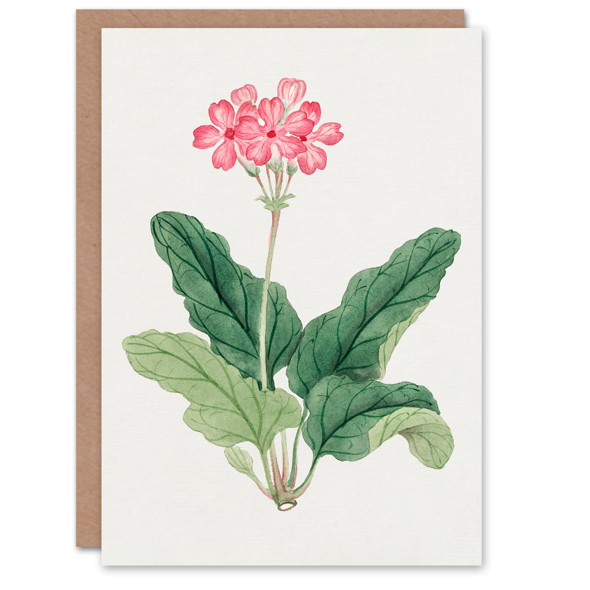 Artery8 Vintage Japanese Botanical Art Card Sakura Flower