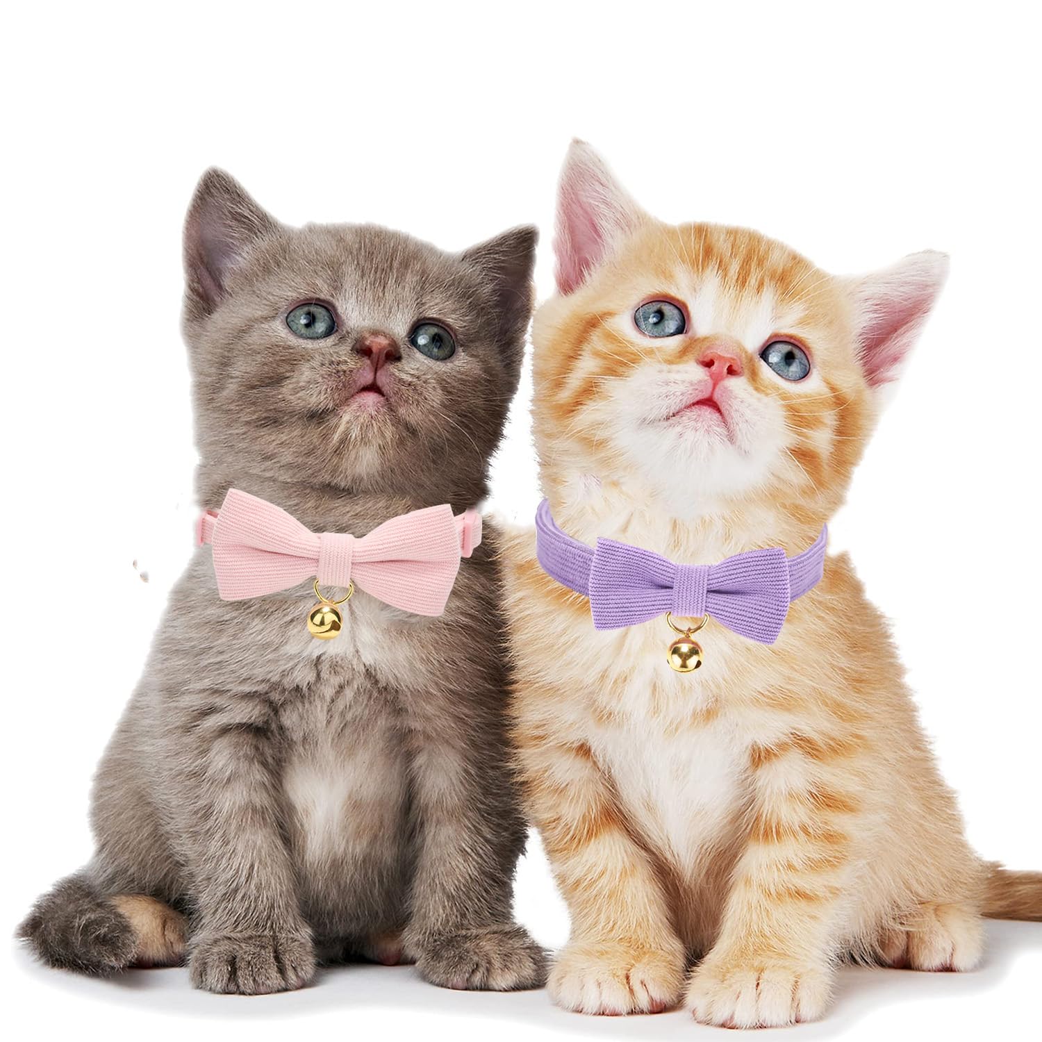 Petiry Corduroy Soft Cat Collar,Breakaway Pink Kitten Collar With Removeable BowTie and Gold Bell,Pack of 2,Purple Pink - Image 2