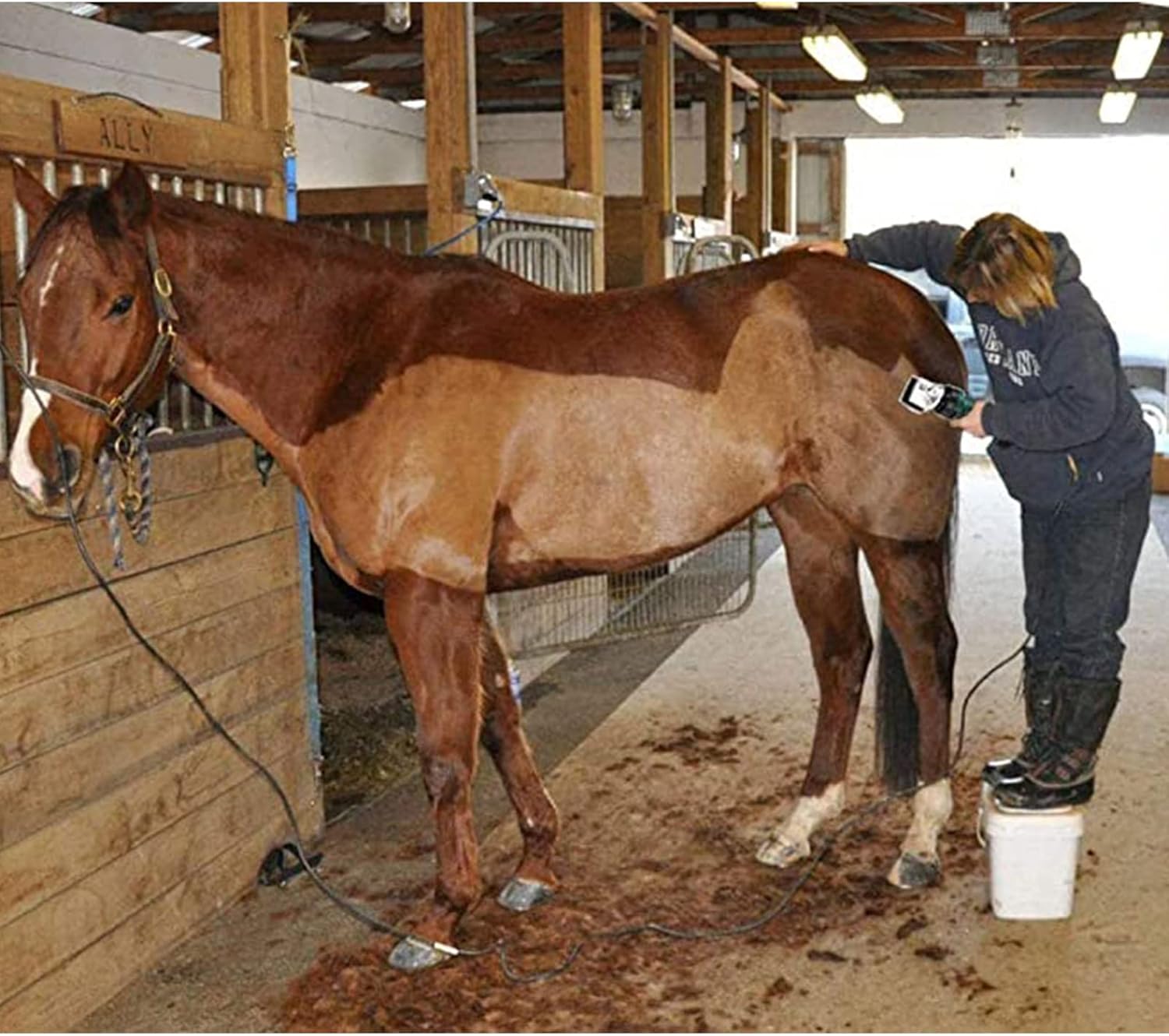 Electric Horse Hair Clippers 690W Heavy Duty Shears 6 Speed Adjustable with Tool Box for Dogs Horses Equine Pigs Cattle Farm Livestock 110V