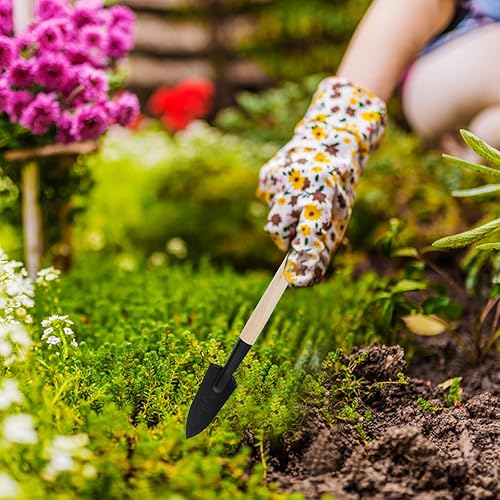 Miniatura 9 de Luxshiny Gardening Tool for Succulents and Bonsai Plants Potting Shovel Transplanting Tools Watering Kettle and Scissors with Ergonomic Design for