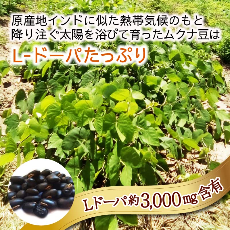 Amazon.co.jp: ムクナ豆パウダー 450g(150g×3袋) 農薬・化学肥料不使用