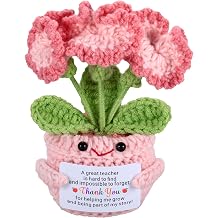 Teacher Appreciation Gifts for Women Men - Teacher Appreciation Thank You Flower Crochet Retirement Gifts for Woman Man, End of Year Daycare Music Teacher Gifts for Women Men Christmas Valentines Gift