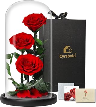 Forever Roses in Glass Dome,12.3 Inch Preserved Real Roses Gift, Long Lasting Forever Flowers for Women, Mom, Wife, Valentines Day, Anniversary, Birthday, Red