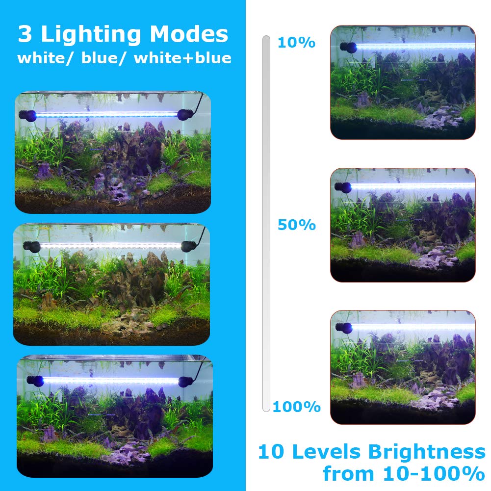 BELLALICHT LED Minuterie Éclairage d'aquarium, Lampe Tube Aquarium [Bleue & Blanc Lumière] avec Gradateur intégré, Dimmable 10 niveaux de luminosité IP67 étanche pour Aquariophilie - 4