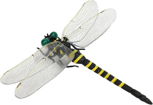 12cm Dragonfly Model Realistic Vivid Fine Details Dragonfly Ornament Figurine with Lanyard Pin