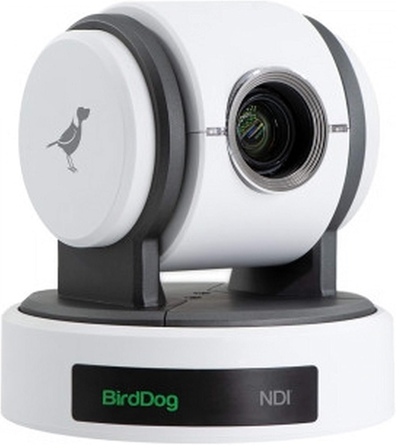 BirdDog Eyes P100 1080P Full NDI PTZ Camera with SDI, White