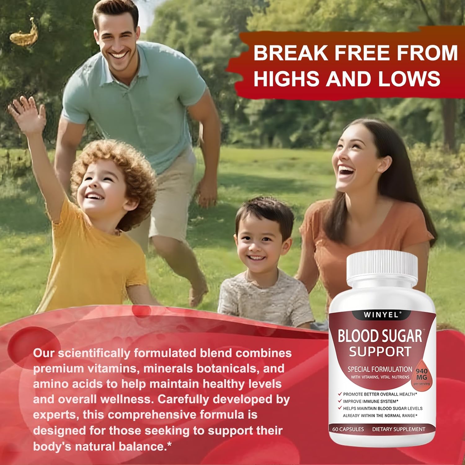 Blood Sugar Complex Supplement - with Cinnamon, Bitter Melon, Chromium, Mulberry, Alpha Lipoic Acid, 60 Capsules - Image 3