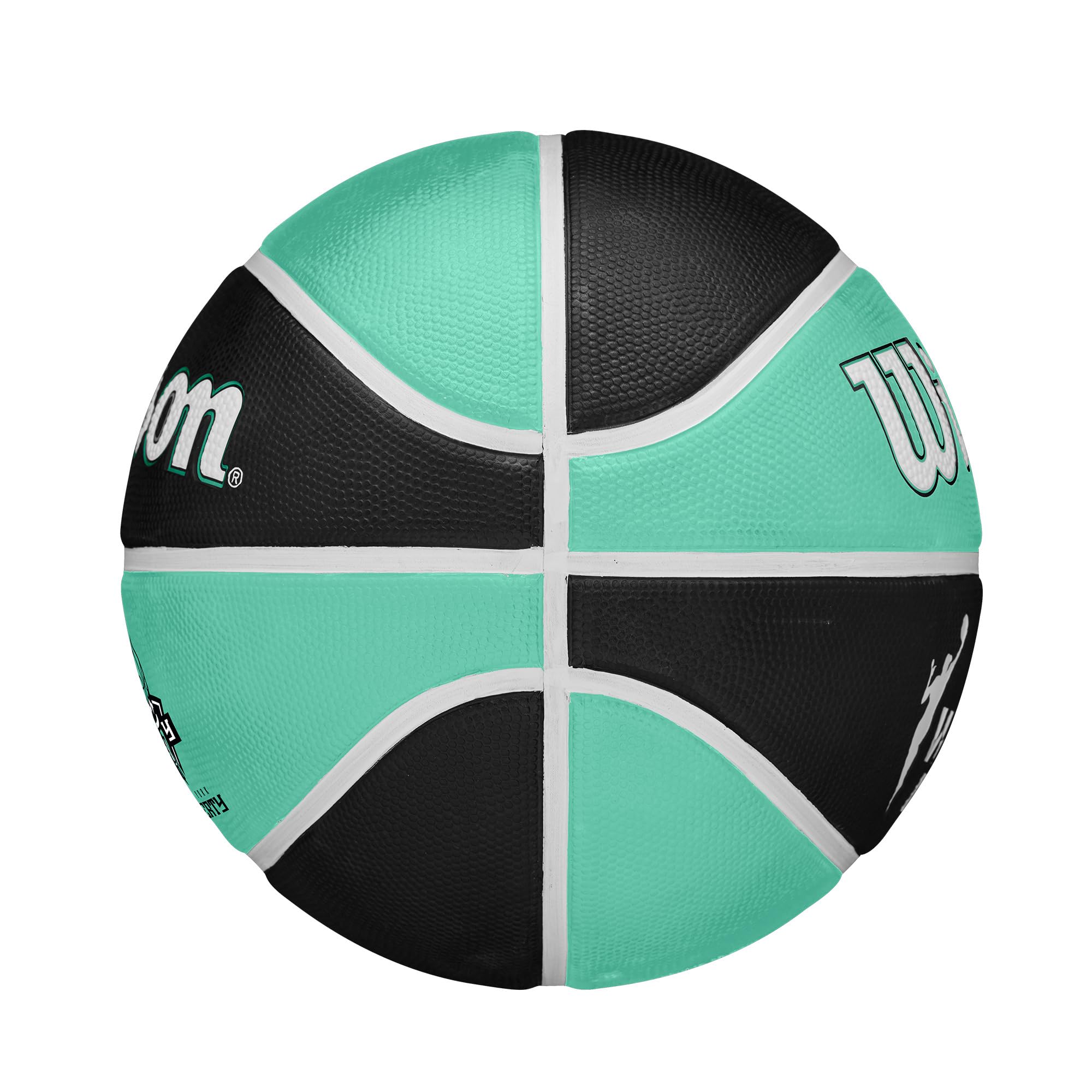 Wilson WNBA Team Tribute Balones de Baloncesto - Oficiales para Mujer, Talla 6-28.5\