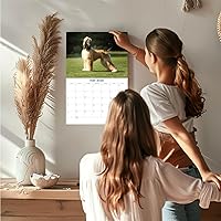 Vista 332 de Razas de Perros 2017