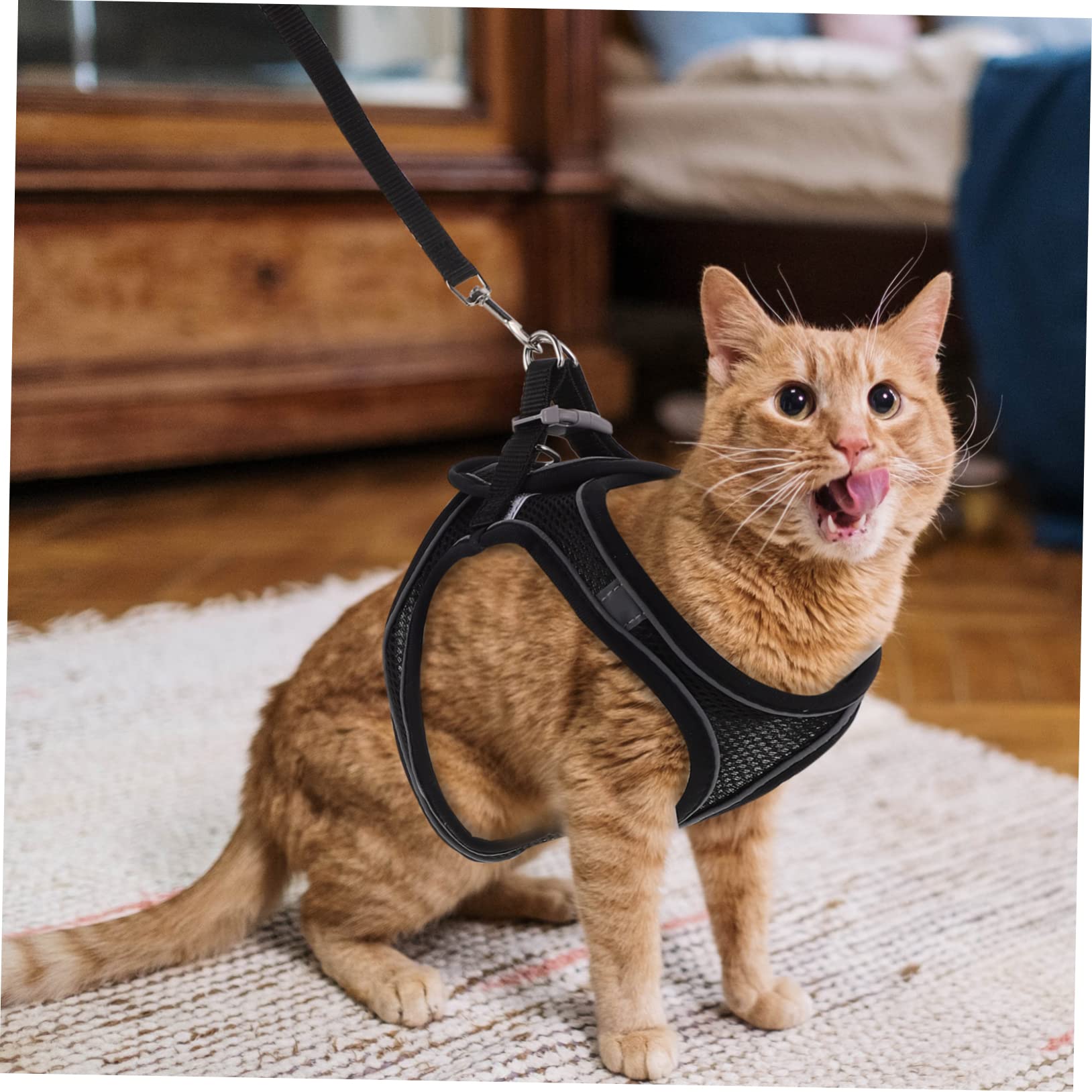 BESPORTBLE Cat Harness Leash Set Vest Traction Rope Pet Chest Strap Night-Safe Pet Supplies