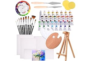 J Mark 48 Piece Deluxe Painting Kit for Adults and Beginners