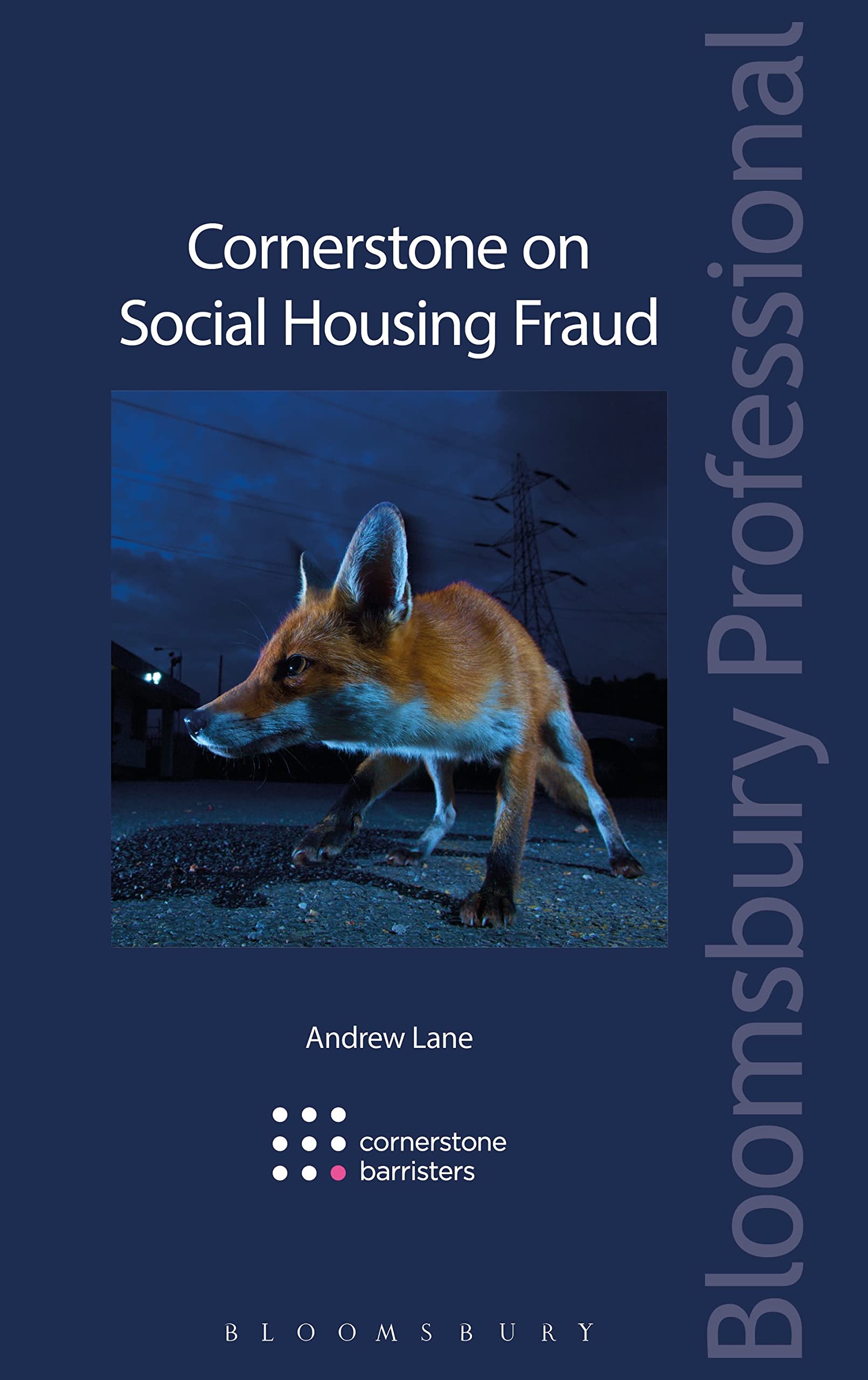 Buy Cornerstone on Social Housing Fraud — BookShops.in