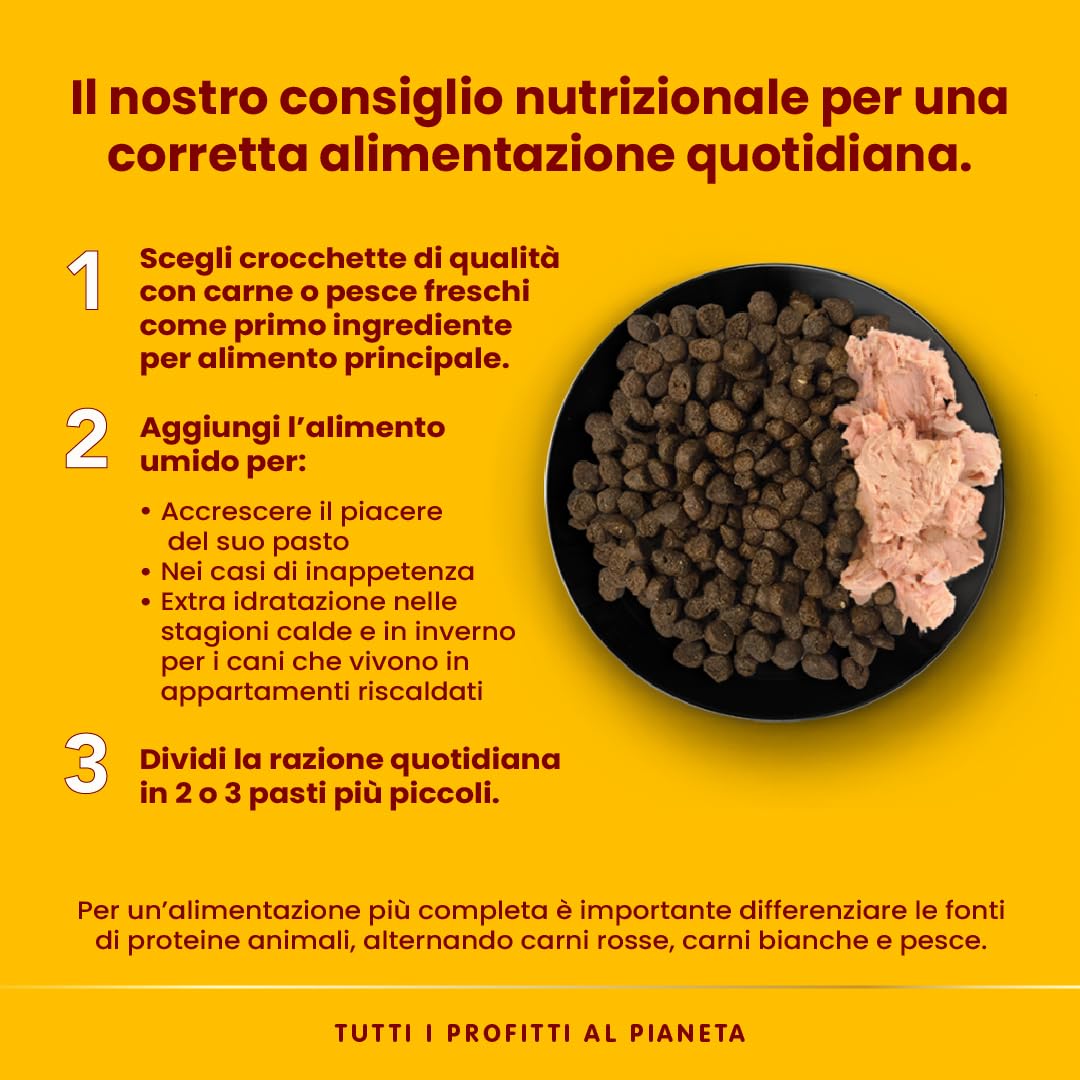Almo Nature HFC Natural Alimento Umido per Cani Vitello con Prosciutto 95g Confezione da 24