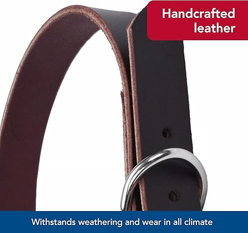 Miniatura 6 de Collar de cuero para perro Latigo - 18 pulgadas con un ancho de 34 pulgadas.