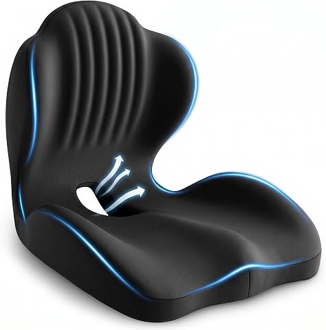 Ergonomic Seat Cushion with Lumbar Support (Black)