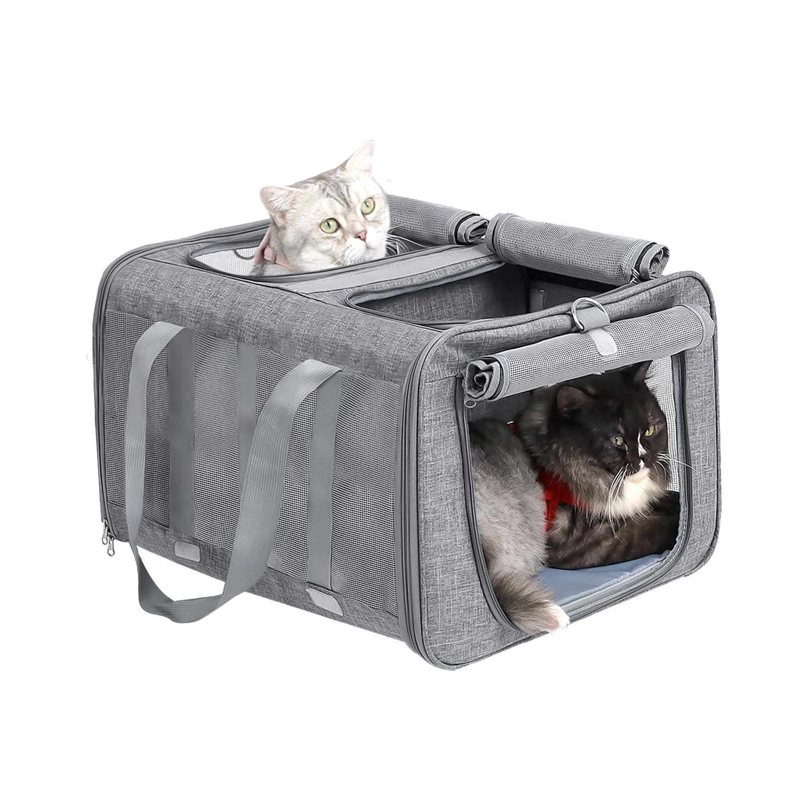 Transportín para Gatos para Dos Gatos, Transportín para Mascotas de Doble Compartimento para 2 Gatos, Transportín de Viaje para Gatos con Correa Ajustable para el Hombro, 53 x 43 x 33 cm