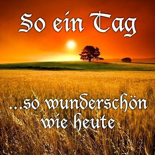 Text So Ein Tag So Wunderschön Wie Heute So Ein Tag so Wunderschön Wie Heute de VARIOUS ARTISTS en Amazon Music