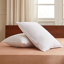 CASABEL Oreiller en Plume et Duvet 50 x 70 cm - Lot de 2 Coussins Rectangulaires Plumes de Canard - Enveloppe 100% Coton Hypoallergénique - Confort Moelleux et Souple - Entreprise Française