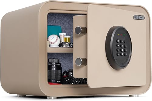 Caja de Seguridad para el Hogar, Cajas de Seguridad Personales Digitales Pequeñas, caja fuerte, Cerradura Electrónica de Seguridad para Dinero con
