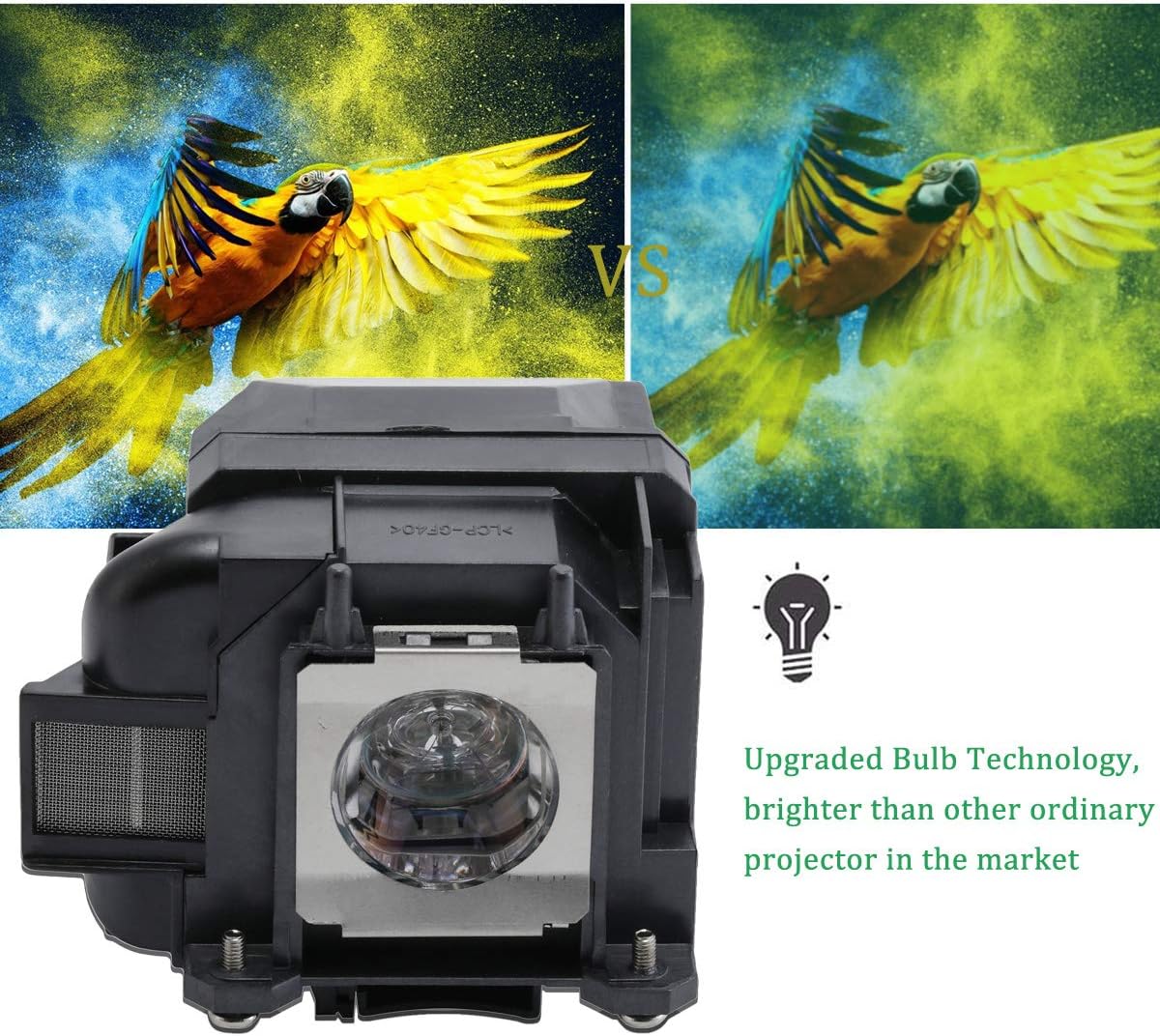 Get Cheap Price RICH LIGHTING V13H010L88 Replacement Projector Lamp Bulb for Epson Elplp88 Powerlite Home Cinema 2040 1040 2045 740HD 1264 EX3240 EX7240 VS240 S27 X27 W29 97H 98H VS340 VS3445 V13H010L88 Review Product RICH LIGHTING V13H010L88 Replacement Projector Lamp Bulb for Epson Elplp88 Powerlite Home Cinema 2040 1040 2045 740HD 1264 EX3240 EX7240 VS240 S27 X27 W29 97H 98H VS340 VS3445 V13H010L88