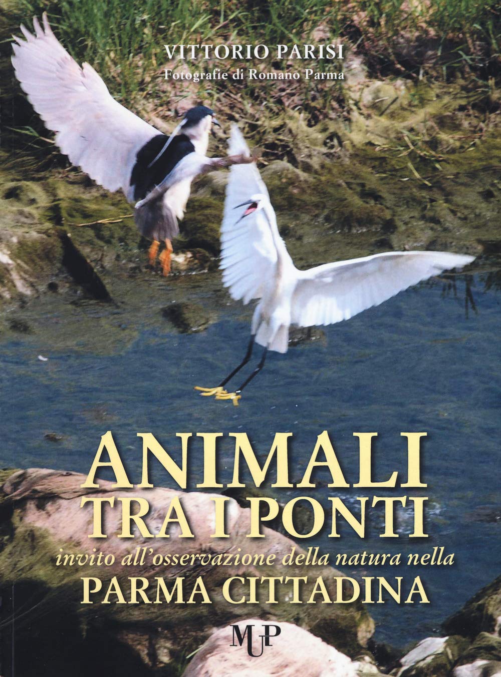 Animali Tra I Ponti. Invito All'osservazione Della Natura Nella Parma Cittadina - 4