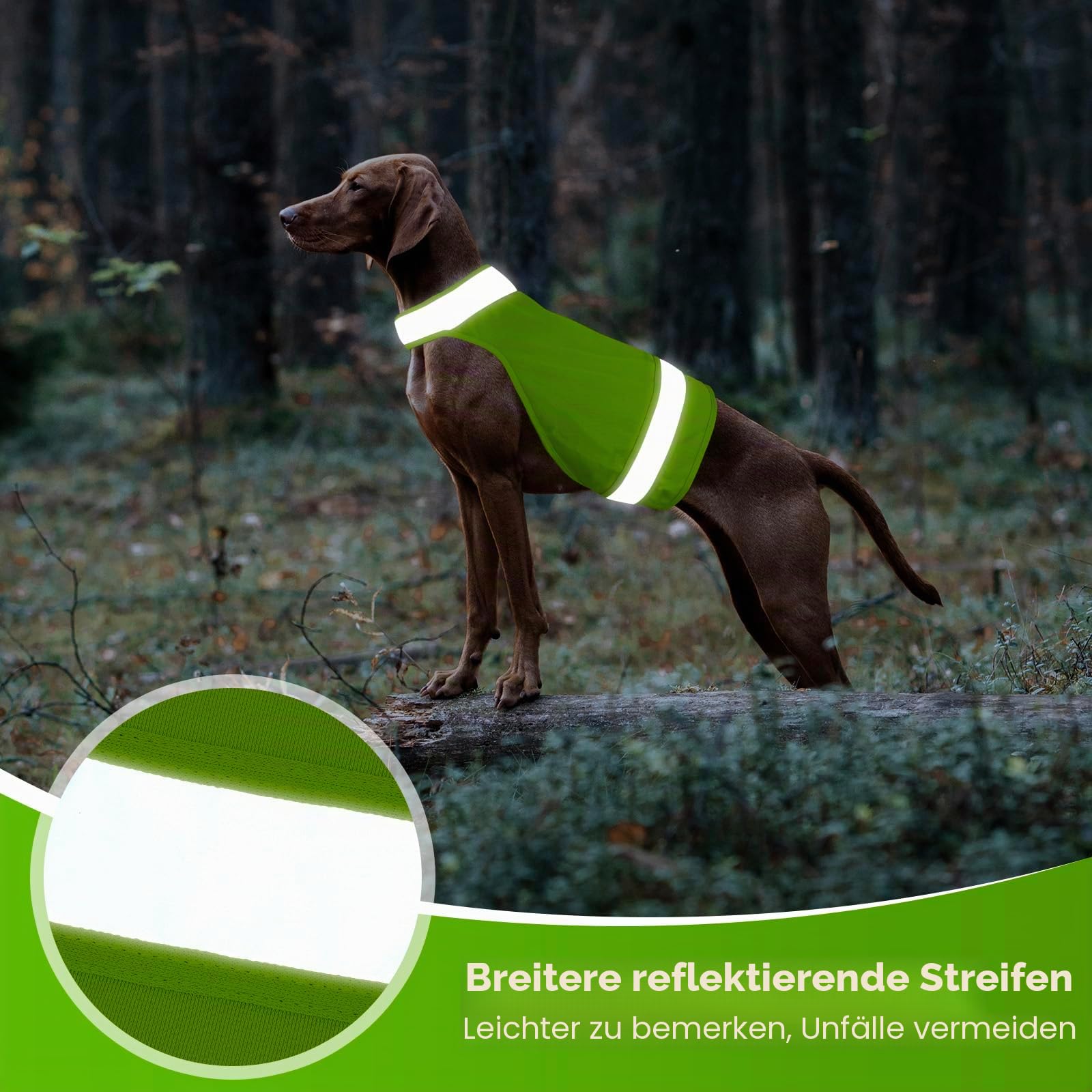 Sicherheitsweste für Hunde, fluoreszierende Jagdweste, reflektierender Hundemantel für nächtliche Spaziergänge, Jagd, Training, Joggen, 2er Pack, Orange, L