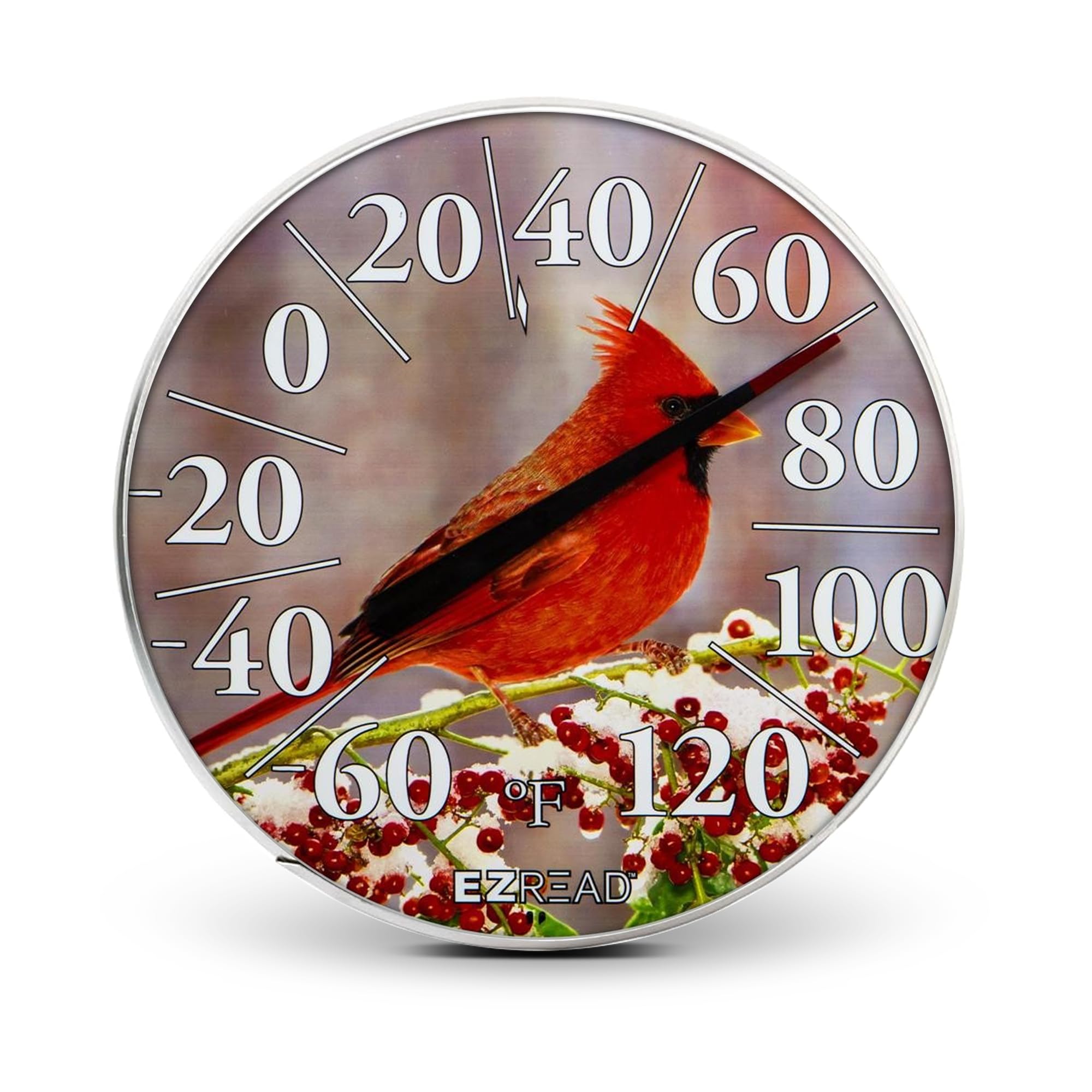 Amazon.com : EZREAD Hanging Dial Thermometer 840-1225