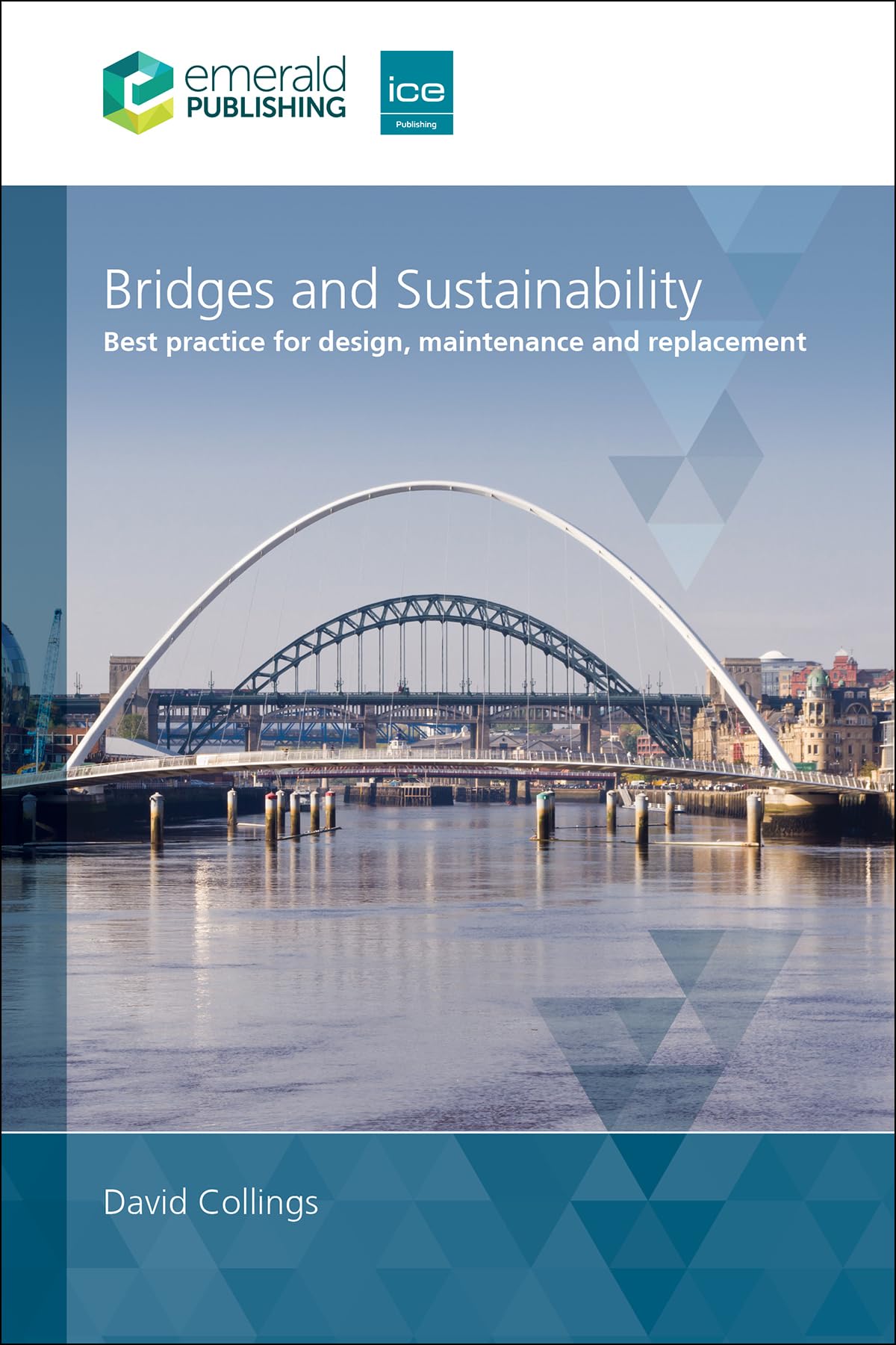 Bridges and Sustainability  Best practice for design by David Collings HARDBACK