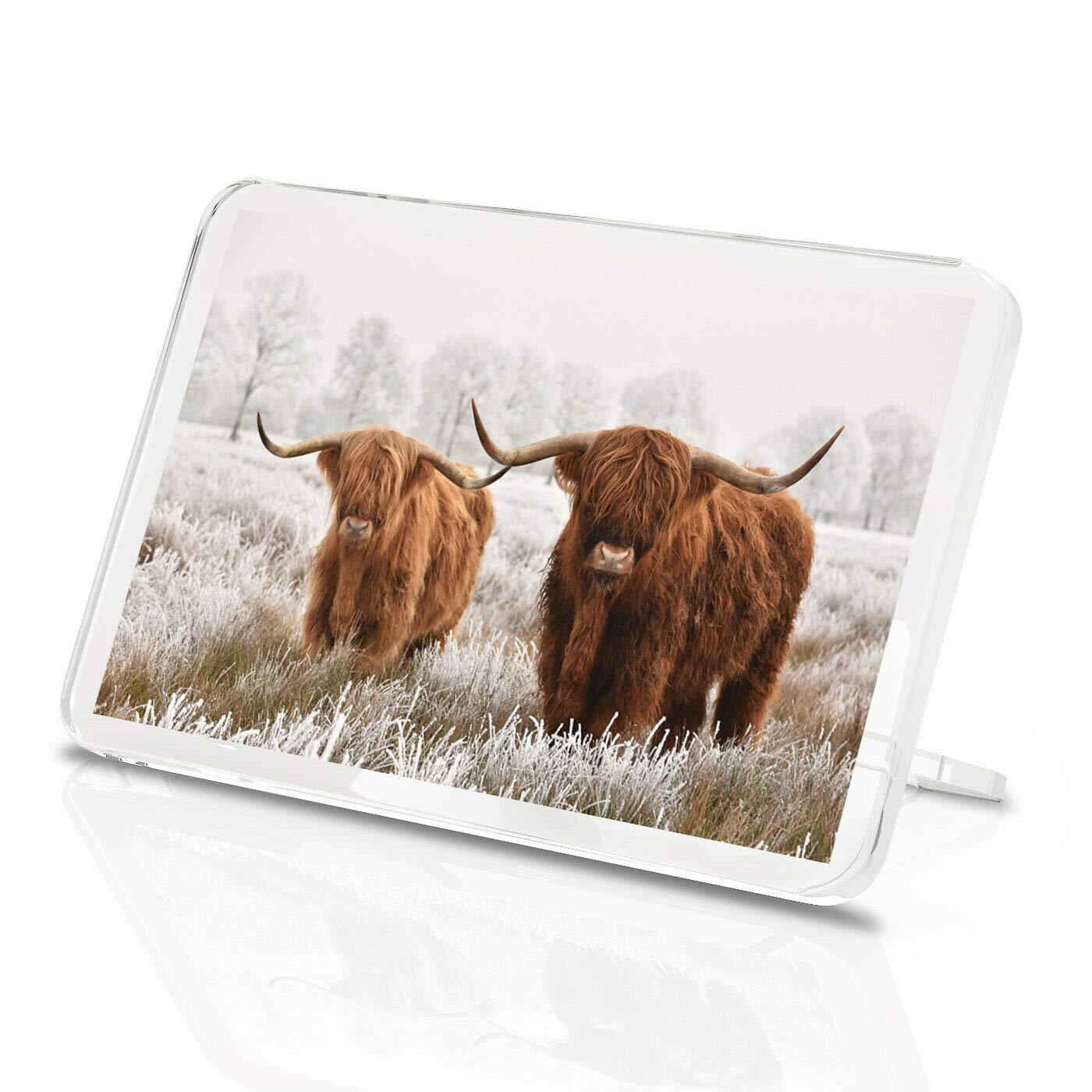 Destination Vinyl Magnets Multicolor Highland Cow Classic Fridge Magnet - Cattle Scotland Fluffy Bull Fun #14591