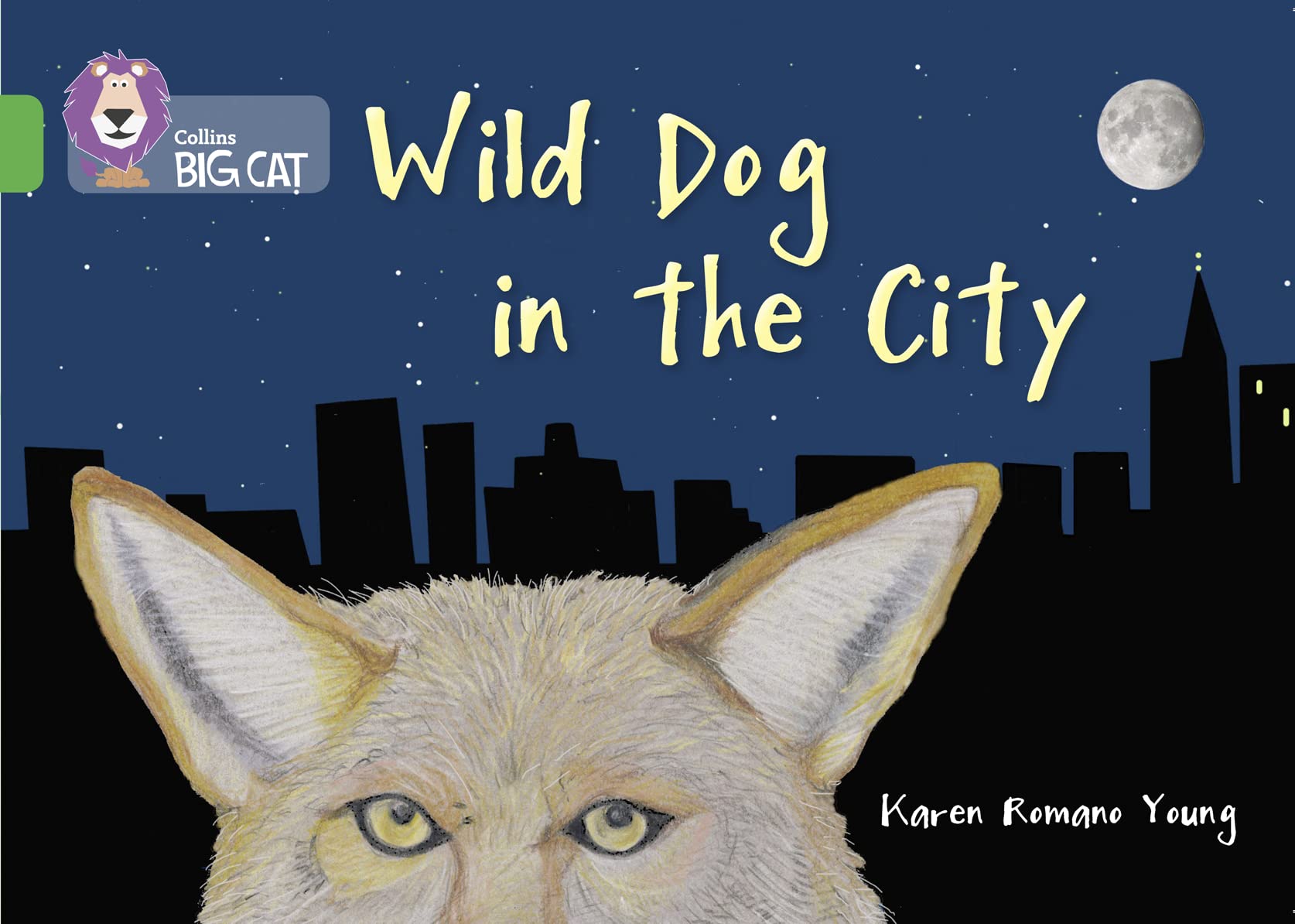 Wild Dog In The City: Band 05/Green (Collins Big Cat)