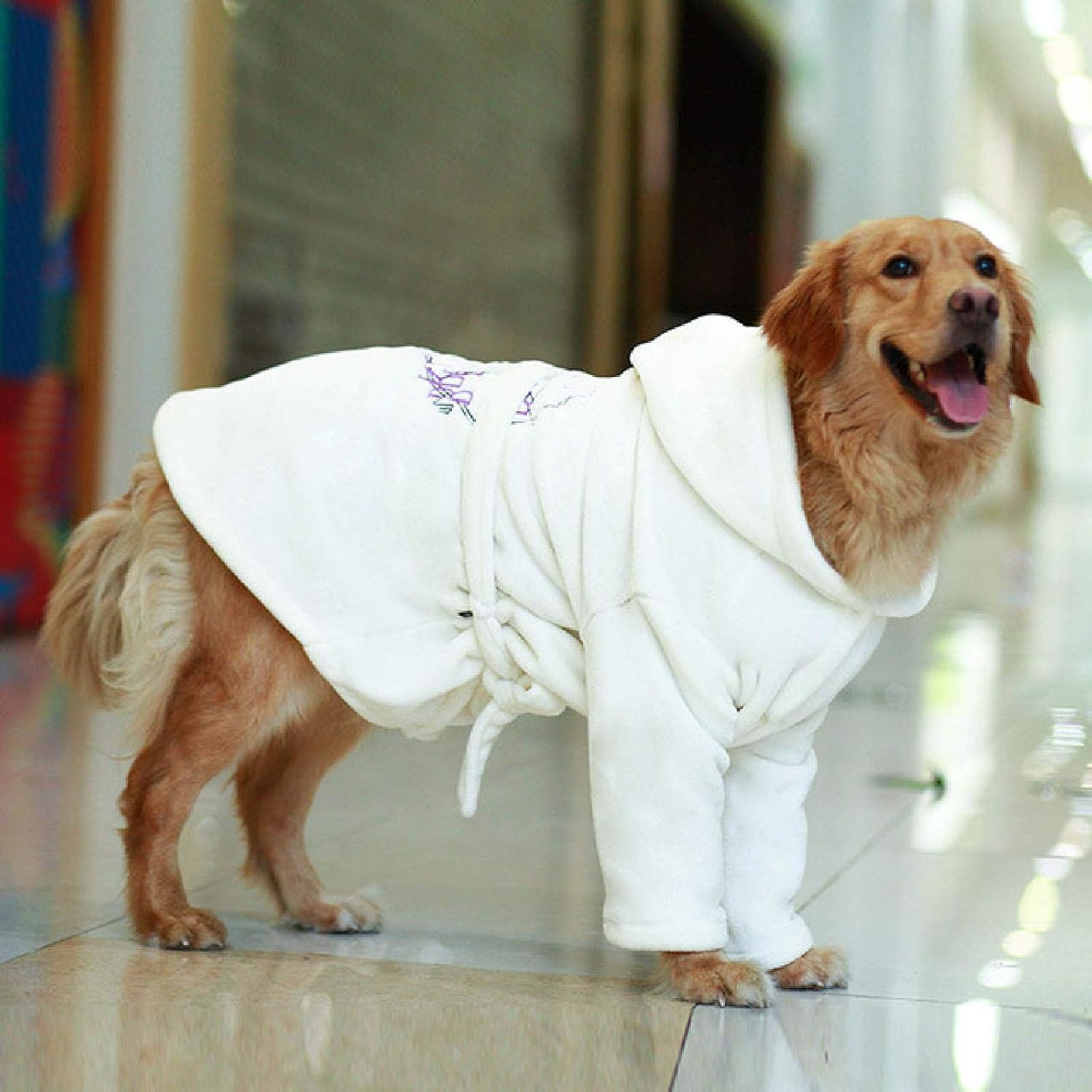 sentry allergy relief dog tablets