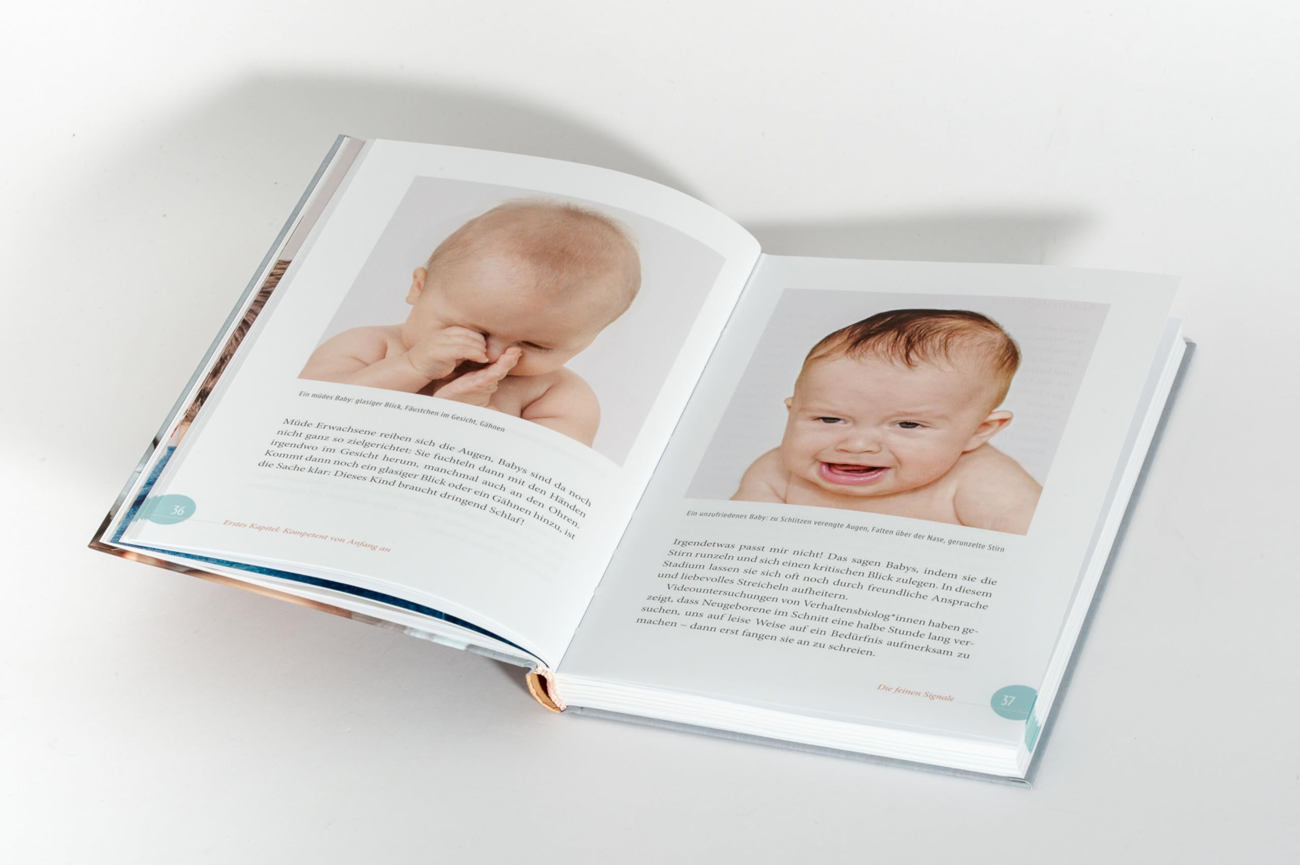 Mein kompetentes Baby: Wie Kinder zeigen, was sie brauchen - Aktualisierte Neuausgabe - Spiegel Bestseller-Autorin