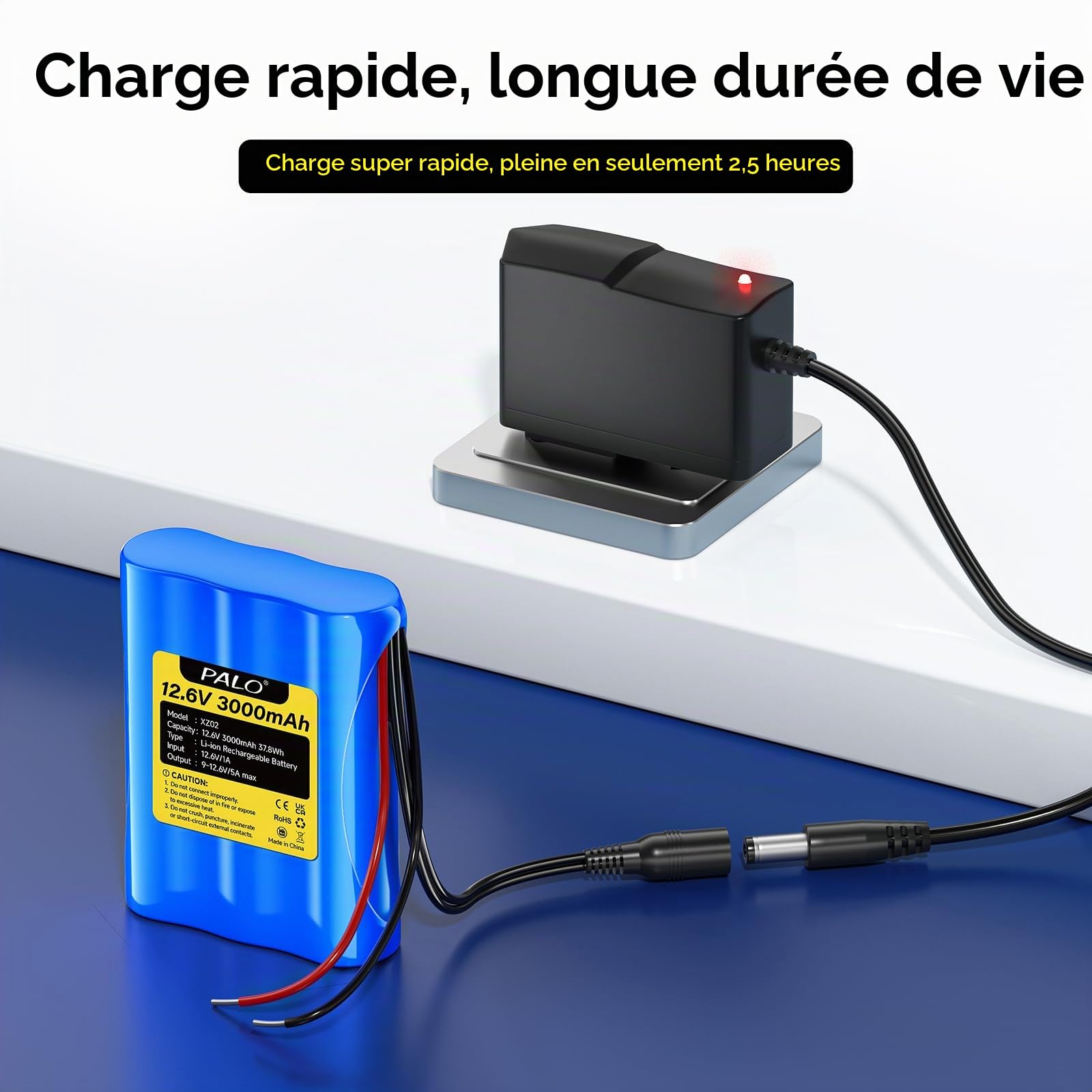 Batterie Lithium-ION 12,6 V 3000 mAh avec Chargeur et 2 Lignes de Connexion pour Panneau Solaire, Radio, appareils Photo, caméscopes, Orgue électronique, Lampe de Lecture DIY, Sonar