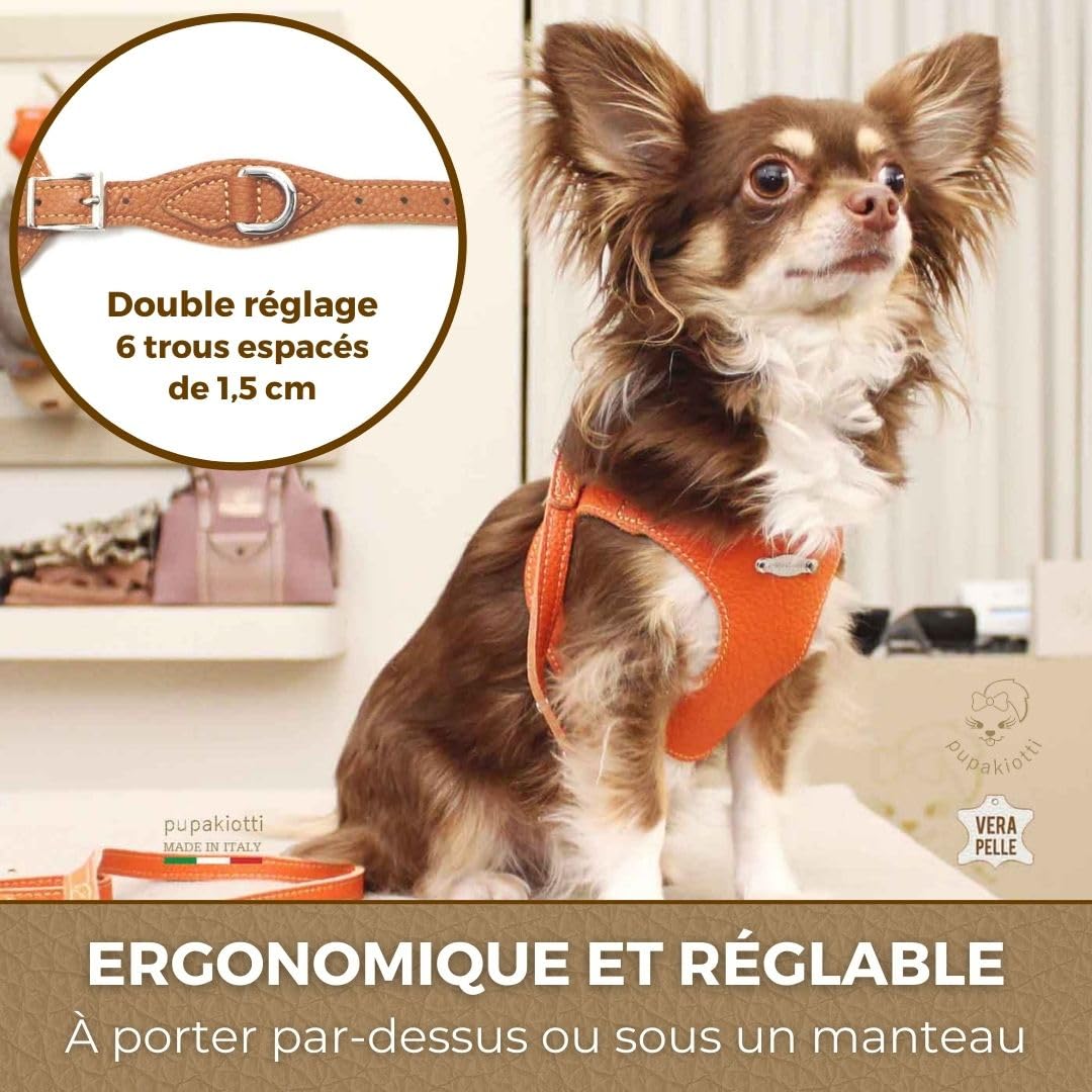 Basic Harnais pour Chien de Taille Petite et Moyenne | Harnais pour Chien Ergonomique et réglable en Cuir véritable fabriqué à la Main en Italie (M-L, Cuir)