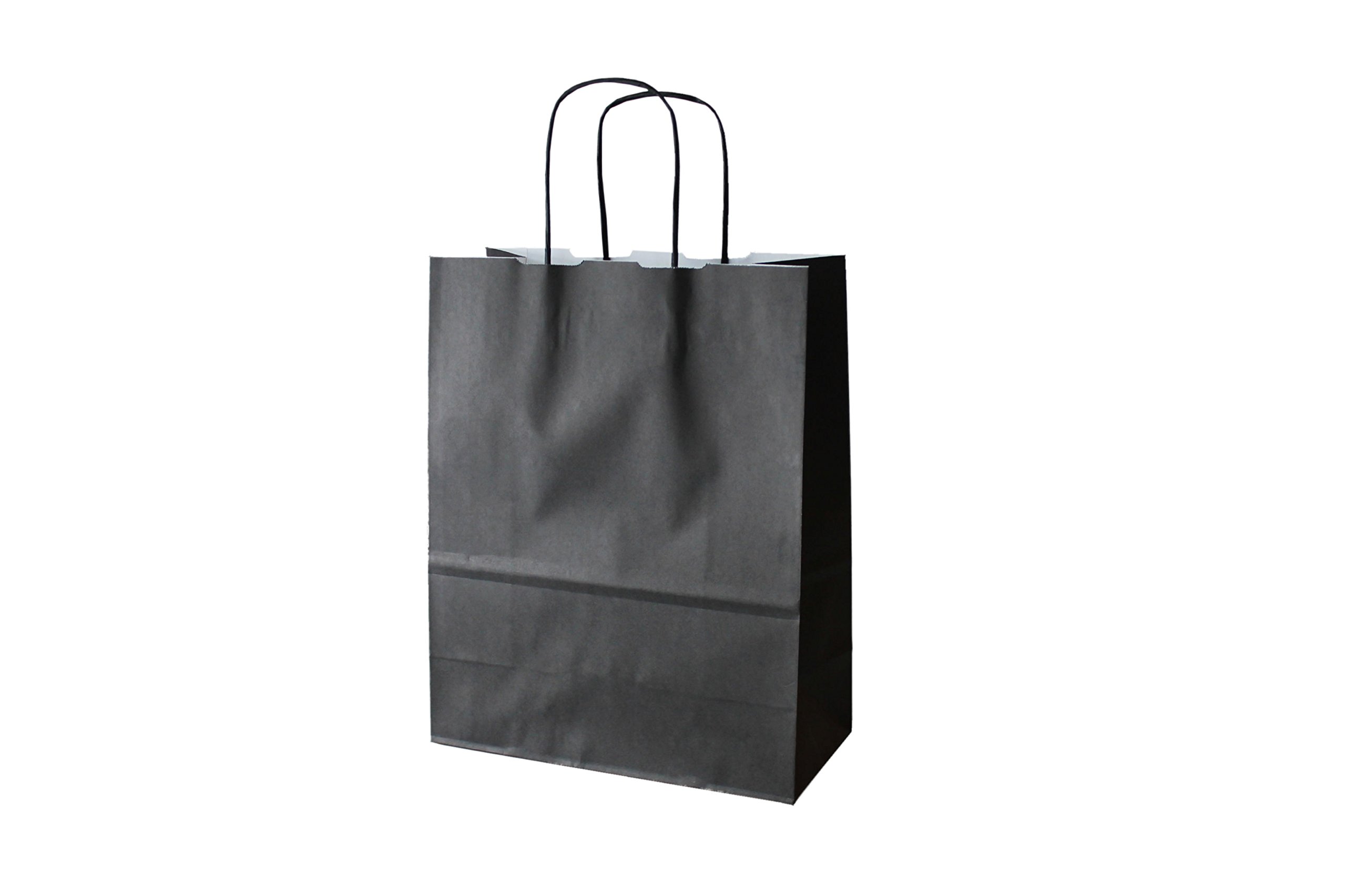 PGV Sacchetti Di Carta Con Cordoncino – Colore Blu, Grammatura 110 G/m², Robusto E Antistrappo – Confezione Da 250 Pezzi (36 X 41 Cm)