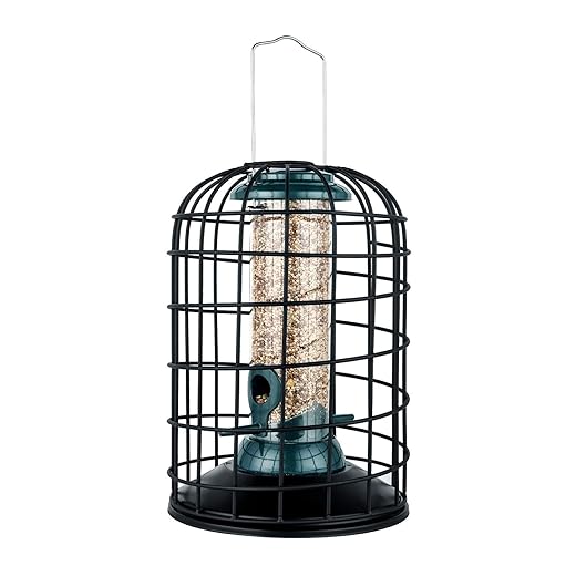 A Comprehensive Guide on How to Squirrel-Proof a Bird Feeder
