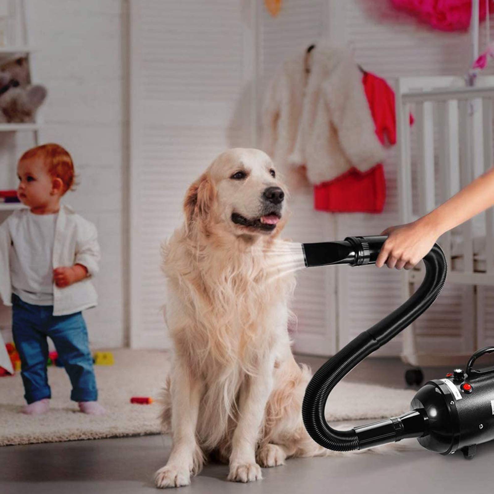 Séchoir Sèche-Poils Toilettage pour Chiens Chats Animaux 2400W Stepless Vitesse Réglable Soufflant Machine De Toilettage avec Chauffage avec Tuyau, 3 Buses en Option