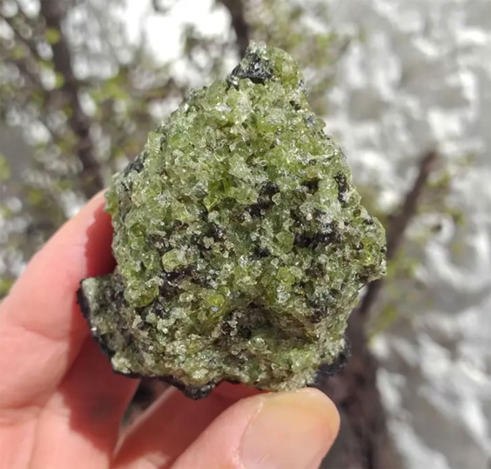 Amazon.co.jp: 天然ペリドット原石鉱物標本、癒しのクリスタルと石の