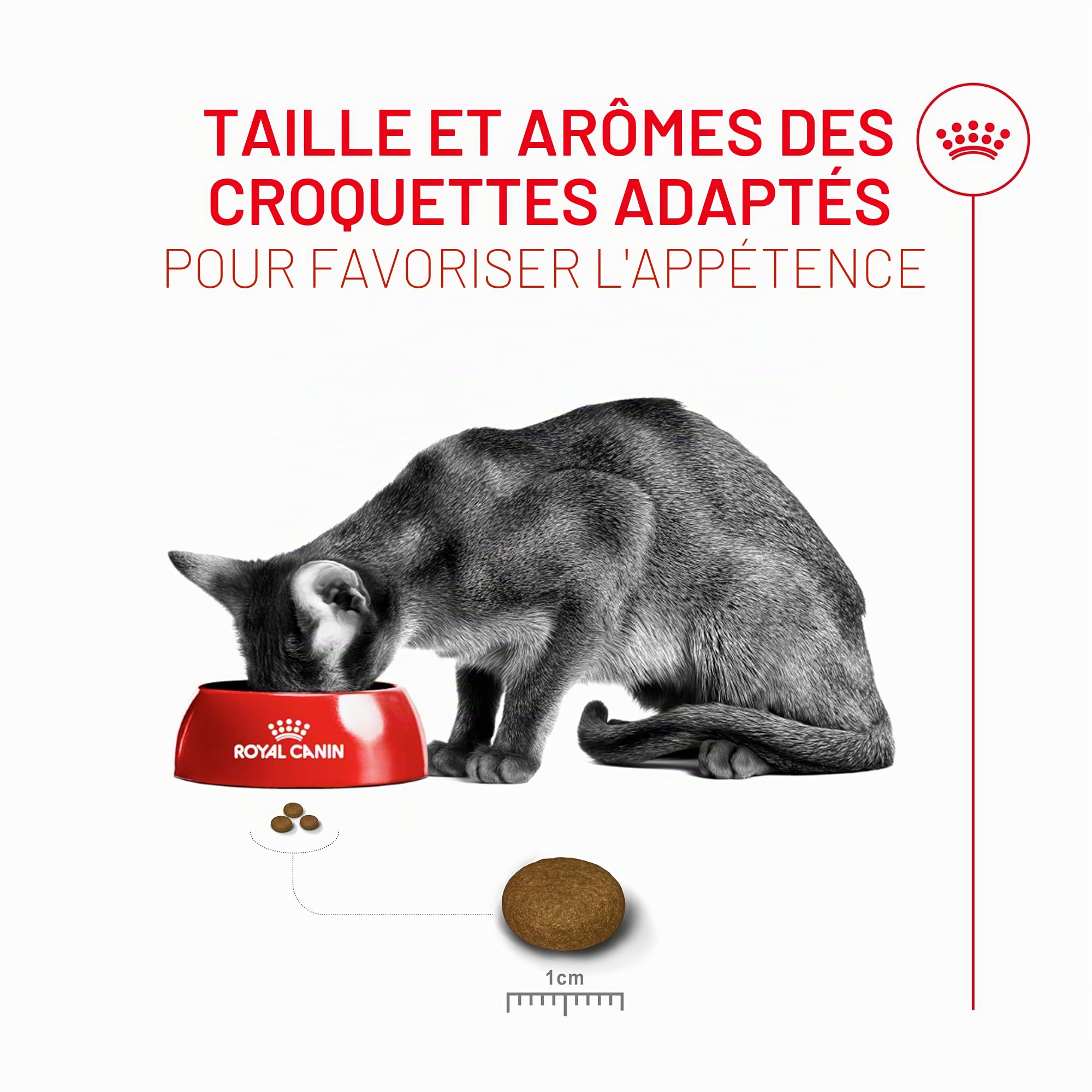 Royal Fussy Exigent Croquettes pour Chat Adulte 1 x 10 kg
