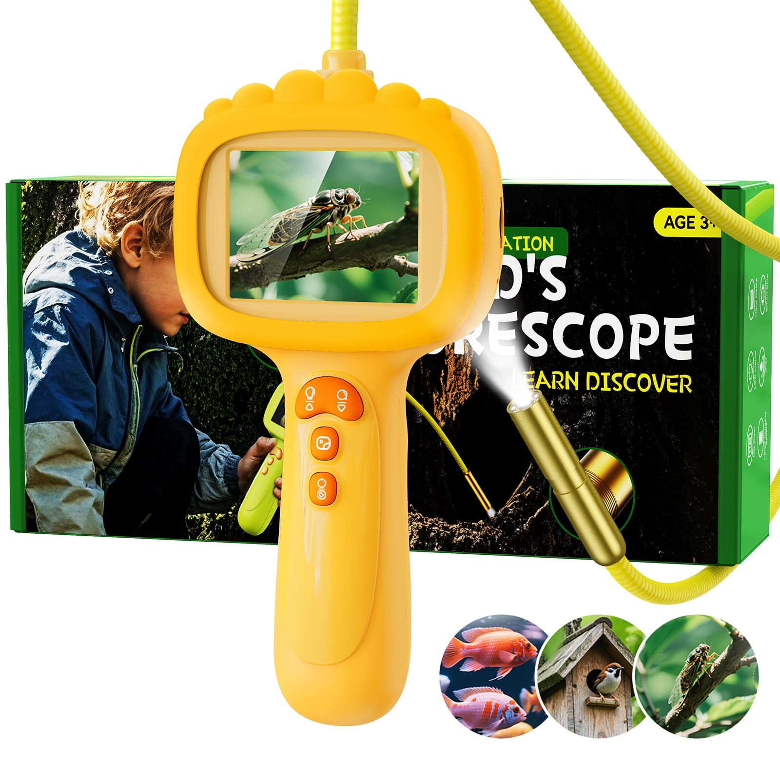 Endoskopkamera für Kinder, Ashfly 1080P Kinder Kamera, STEM Spielzeug für Outdoor Garten Camping Natur Entdecken,Geburtstagsgeschenk für 4 5 6 7 8 9 10 Jahre Jungen und Mädchen (Orange)