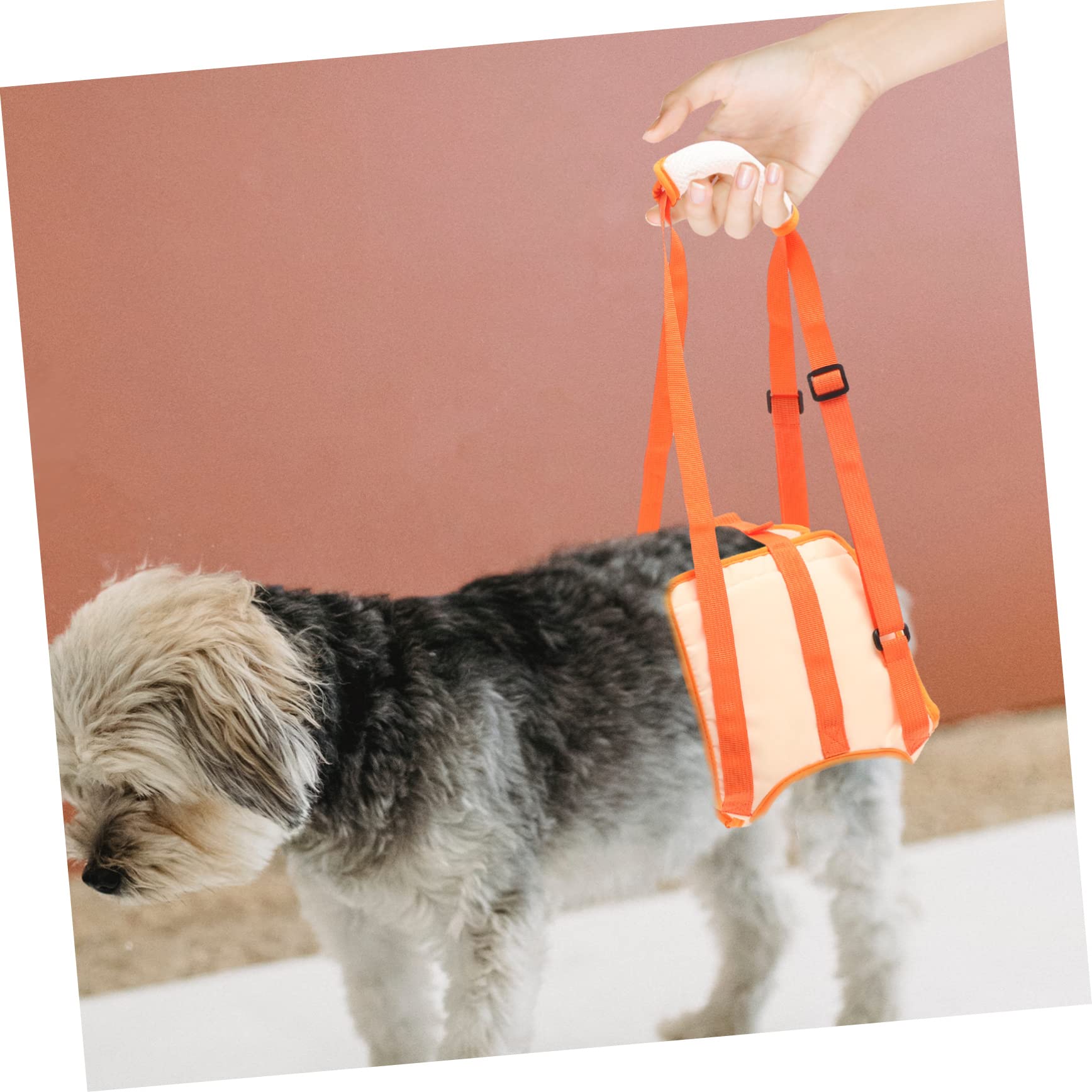BESPORTBLE 4 Pièces Ceinture D'Assistance Aux Jambes pour Animaux De Compagnie Harnais De Protection pour Chien Harnais D'Extérieur pour Animaux De Compagnie Harnais De Soutien pour Chien