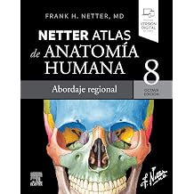 Netter. Atlas de anatom a humana. Abordaje regional